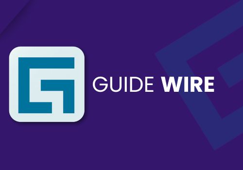 guide-wire-1