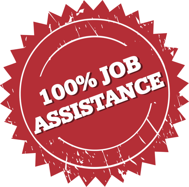 100% Job Assistance